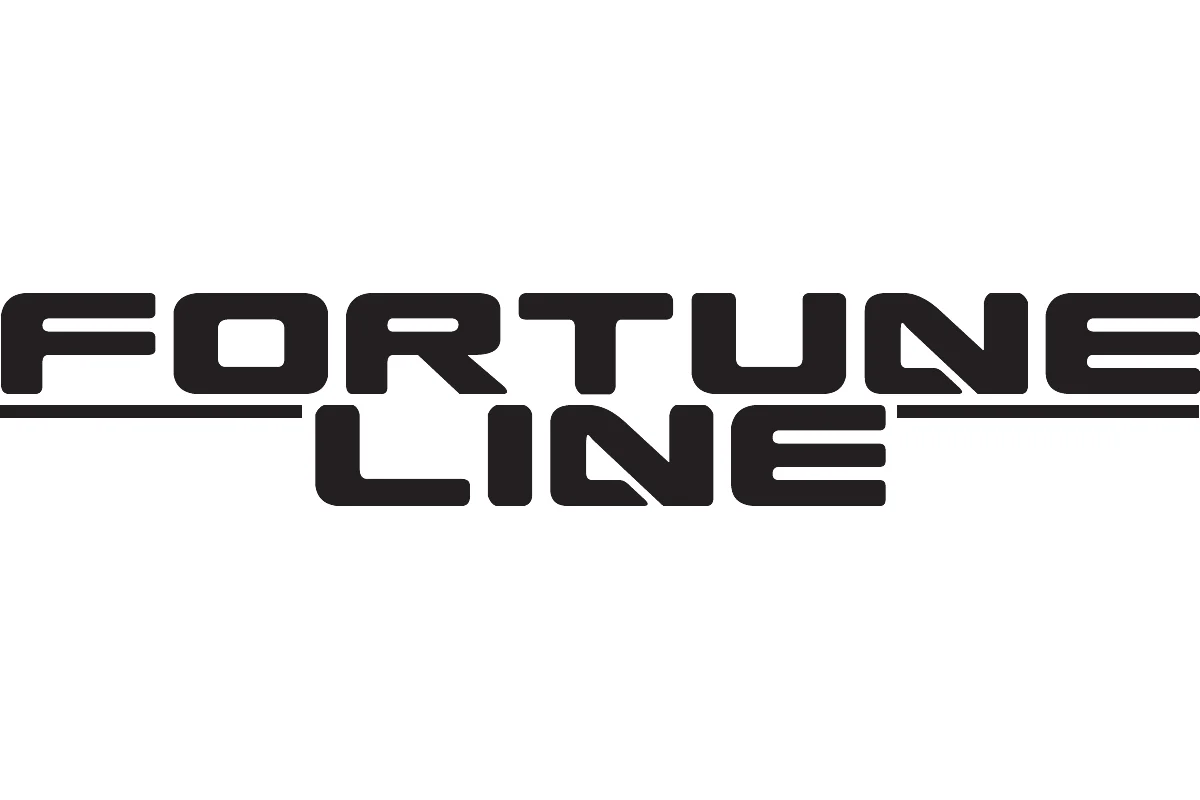 Важіль підвіски передній FORTUNE LINE FZ5566