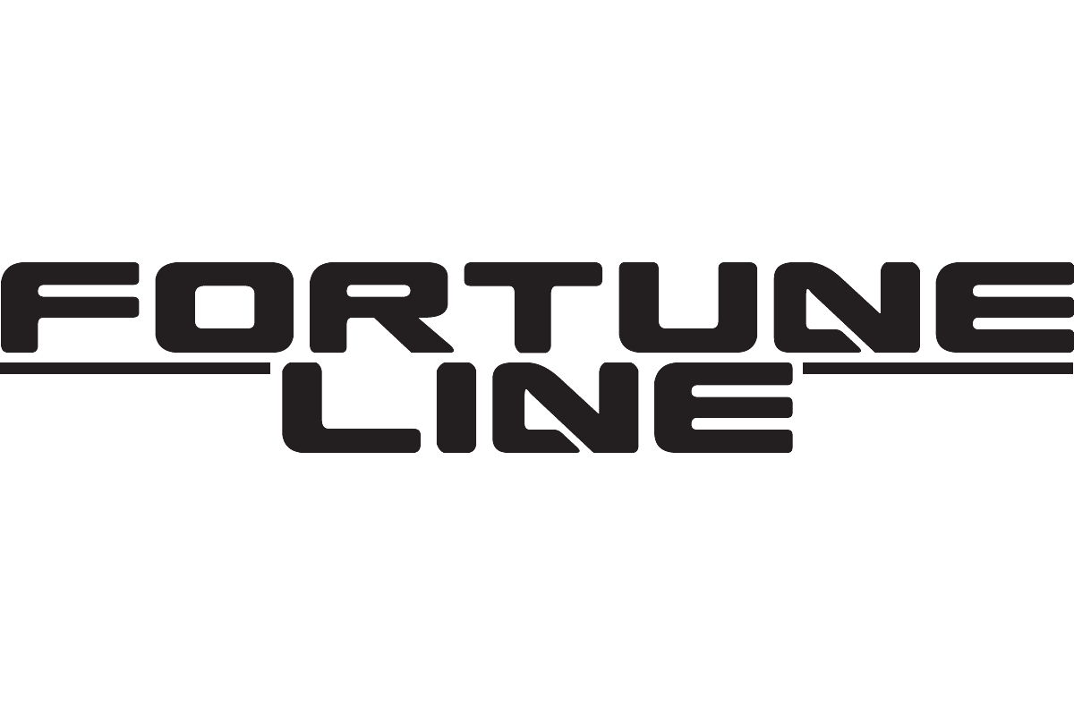 Подушка стабілізатора FORTUNE LINE FZ91874