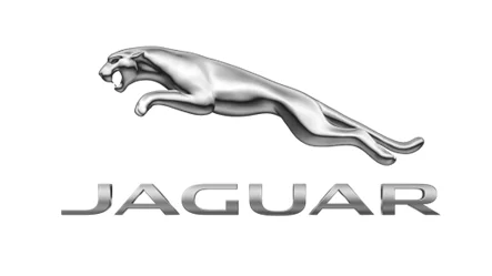 Направляюча ланцюга ГРМ [ JAGUAR JDE40403 (фото 1)