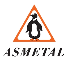 Важіль підвіски ASMETAL 30OP5001