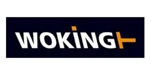 Автозапчасть WOKING 878302