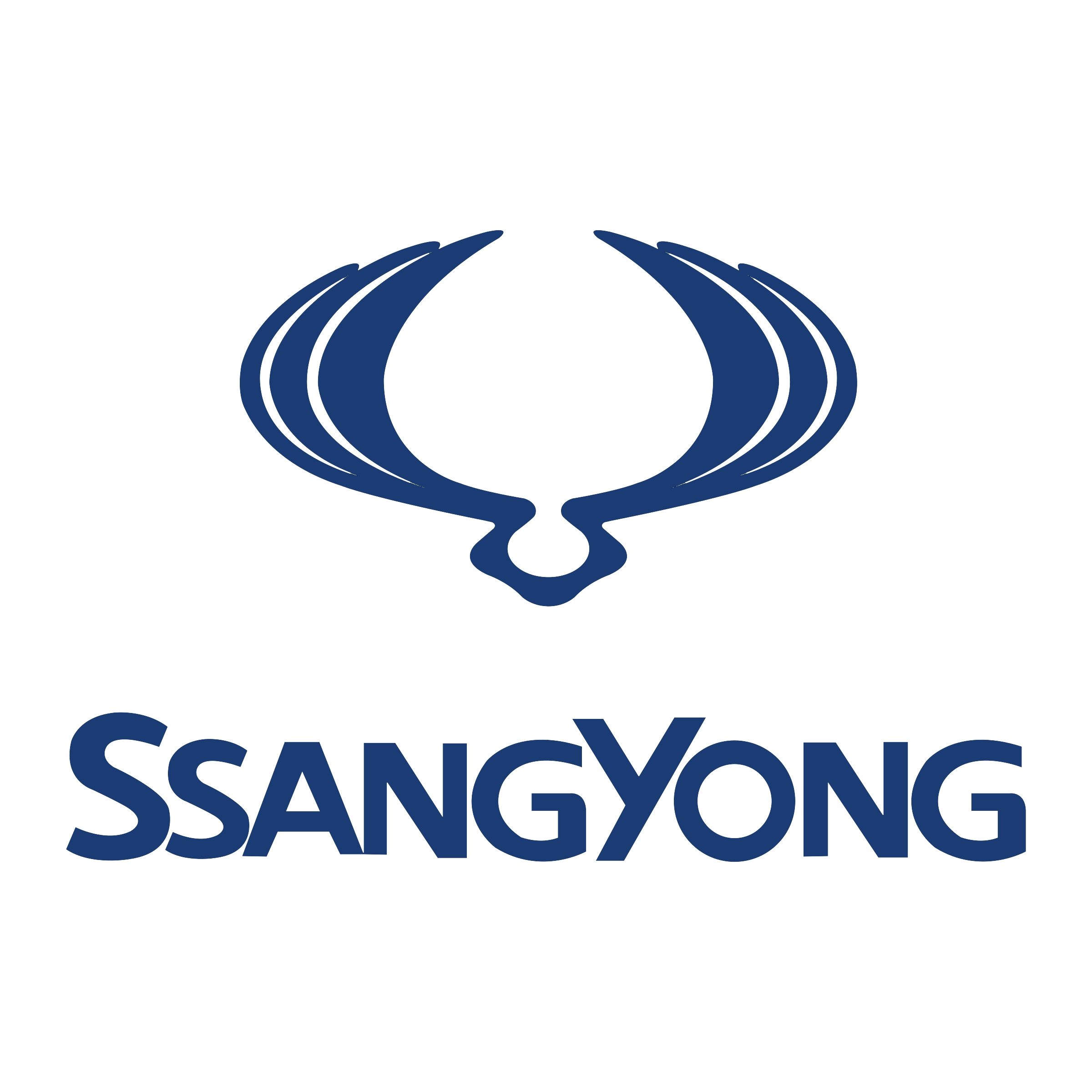 Капот Actyon (06-) SsangYong SSANG YONG 6101131103