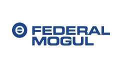 Зп FEDERAL MOGUL 93038