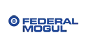 FEDERAL MOGUL