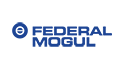 FEDERAL MOGUL США