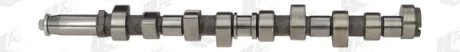 Распредвал FORD Escort, Fiesta, Focus, Mondeo, Orion III, Tourneo Connect, Transit Connect 1.8D/1.8TDI/1.8TDDI/1.8TDCI AE CAM902