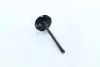 Клапан двигуна IN FORD/MAZDA MONDEO/5 SEBA/CJBA/CJBB/AODA/LF 35X5.5X103.4 (вир-во) AE V98032 (фото 2)