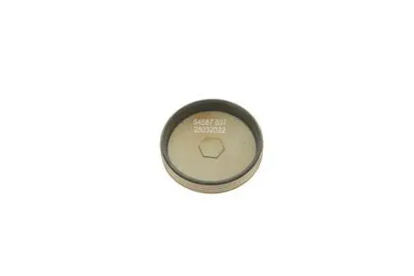 Заглушка головки блоку циліндрів AIC 54587