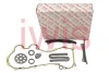 Комплект ланцюга ГРМ Fiat Doblo 1.3JTD (ланцюг, башмак, натяжник) AIC 76068SET (фото 1)
