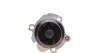 Водяний насос VW Polo/Skoda Fabia 1.9 SDI 99- AIRTEX 1777 (фото 4)