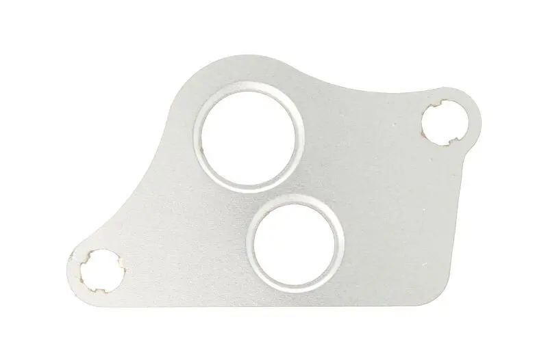 Прокладка EGR OPEL VECTRA C 2.2i Ajusa AJUSA 01019000 (фото 1)