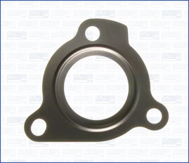 Прокладка турбіни Renault Laguna II, Scenic II, Megane II 1.9d Ajusa AJUSA 01066100