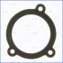 Прокладка дросельної заслінки Hyundai Santa Fe (I,II) 2.7i Ajusa AJUSA 01226400 (фото 1)