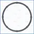 Прокладка термостата Hyundai Elantra (V,VI), Sonata (VI,VII)/ Kia Sportage (III, AJUSA 01513500 (фото 1)