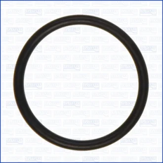 Прокладка (o-ring) кришки грм ajusa, аналог, nissan oem 15066-ar010 AJUSA 16529500