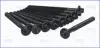 Компл. болтів ГБЦ RENAULT MEGANE I, II, III 1.4, 1.6i (10шт) Ajusa AJUSA 81024900 (фото 1)