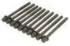 Набір болтів ГБЦ ACURA RSX, TSX HONDA ACCORD VII, CIVIC VII, CIVIC VIII, CR-V II, CR-V III, ELEMENT, FR-V, INTEGRA, STREAM 2.0/2.4 05.01- AJUSA 81028900 (фото 1)