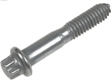 Болт з головкою системи TORX з чорного металу AS SP1003 (фото 1)