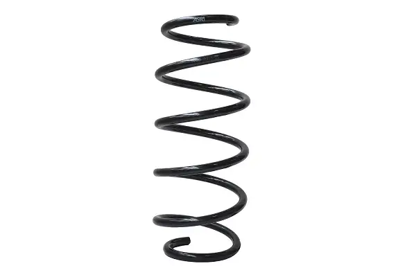 Пружина передня Ford Fiesta Mk6 1.4 TDCi, 1.6 TDCi (08-) Asam ASAM 05506 (фото 1)