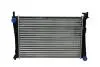 Радіатор Ford Fiesta V, Fusion Mazda 2 1.25-1.6 11.01-12.12 ASAM 32190 (фото 1)