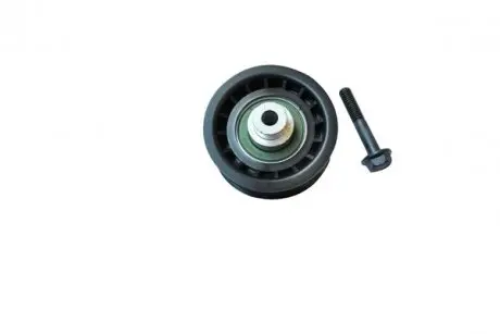 Ролик ременя генератора Citroen Jumper II/Fiat Ducato III/Ford Transit/Peugeot Boxer (06-) ASAM 71831