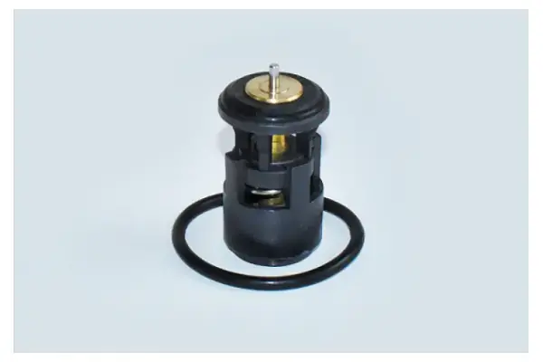 Термостат Skoda Octavia I, Felicia/VW Polo III, Golf IV, Caddy II/Seat Cordoba, Ibiza II 1.4, 1.6 (93-06) Asam ASAM 73343 (фото 1)
