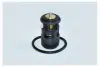 Термостат Skoda Octavia I, Felicia/VW Polo III, Golf IV, Caddy II/Seat Cordoba, Ibiza II 1.4, 1.6 (93-06) Asam ASAM 73343 (фото 1)