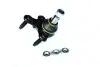 Шарова опора Audi A3/Seat Leon/Skoda Octavia III/VW Golf VII, Passat (06-) Asam ASAM 80966 (фото 1)