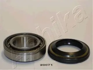 Підшипник роликовий циліндричний ASHIKA 44-20071 (фото 1)