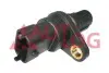 Датчик розподілвалу C1/107/108/YARIS 1.0 05- AUTLOG AS4831 (фото 1)