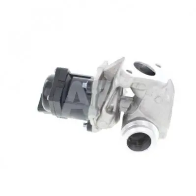Клапан EGR (всередині оригінал) Peugeot, Citroen 1.4 hdi Automotor France AUTOMOTOR France OGR0002 (фото 1)