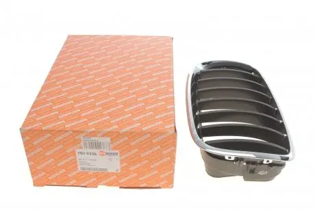 Решітка радіатора BMW X5 (E70)/X6 (E71) 06-14 (R) AUTOTECHTEILE 700 0336