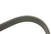 Ремінь струмковий, FIAT Scudo 2.0D/PEUGEOT Expert 2.0HDI (6PK1217) AUTOTECHTEILE 906 1217 (фото 2)
