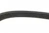 Ремінь поліклиновий AUTOTECHTEILE 906 1740 (фото 4)