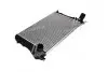 Інтеркулер AUDI; SEAT; SKODA; Volkswagen (вир-во AVA) AVA COOLING VNA4306 (фото 4)