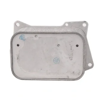 Масляний радіатор двигуна Bapmic BF0426490070