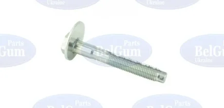 Болт з ексцентриком BELGUM PARTS BG2018