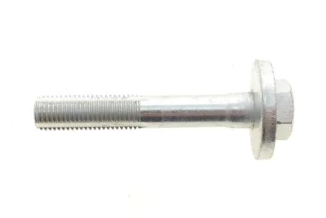 Болт з ексцентриком BELGUM PARTS BG2022