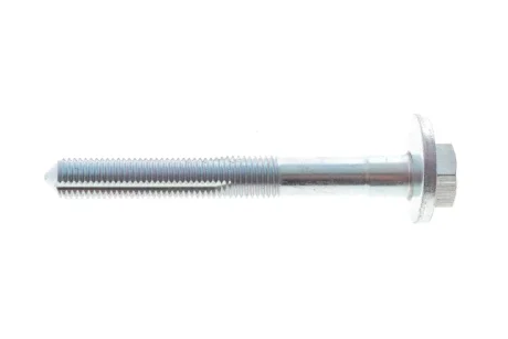 Болт з ексцентриком BELGUM PARTS BG2031