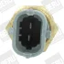 Датчик BERU ST265 (фото 2)