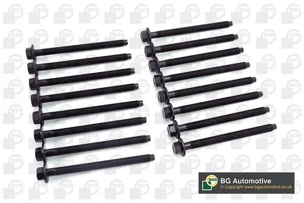 Комплект болтів з головкою системи TORX з чорного металу BGA BK2392 (фото 1)
