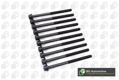 Болти ГБЦ, к-кт Peugeot 205/305/306/309/405/504/505/J5/Express 1.6-2.0i -00 BGA BK6398