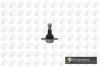 Опора кульова (передня/знизу) BMW X3(F25) 10-17/X4(F26) 14-18 BGA SJ0905 (фото 1)