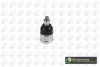 Опора кульова (передня/знизу) Honda Accord 08-15 BGA SJ2506 (фото 1)