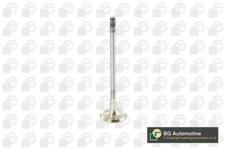 Клапан випуск BMW 1 (E81/E87)/3 (E90/E91/E92)/5 (E60/E61) 2.0 06-13 BGA V090101