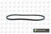 Ремінь генератора 13x1150 VW T2/MB W123 BGA V13X1150 (фото 1)