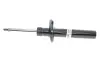 Амортизатор (передній) VW CC 09-17 Passat(3C2) 06-10 Passat(357/365) 12-19 d=55mm (B4) BILSTEIN 22-151056 (фото 1)