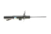Амортизатор (передній) Renault Scenic 03-(B4) BILSTEIN 22-158390 (фото 4)