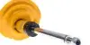 Амортизатор RENAULT Scenic "F "(Performance) BILSTEIN 22247568 (фото 5)