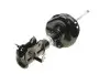 Амортизатор (передній) (L) Honda CR-V V 16- (B4) BILSTEIN 22-290939 (фото 1)